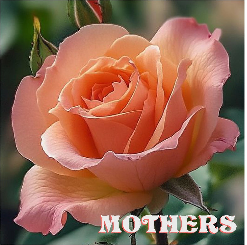 The Priceless Role of MOTHERS