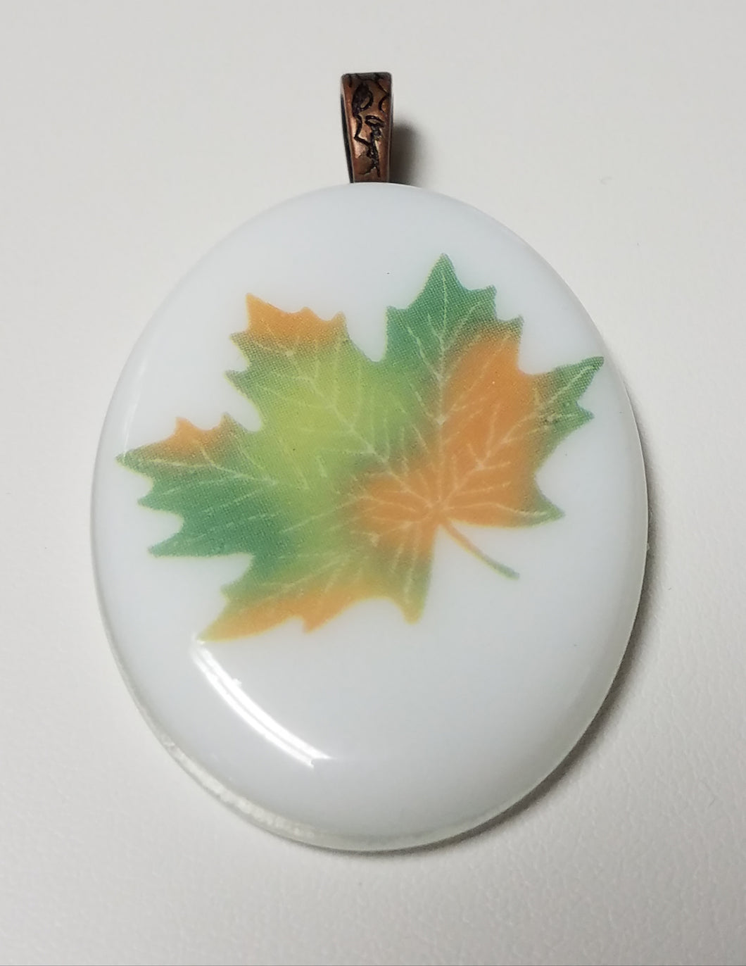 Fall turning colors maple leaf on white glass